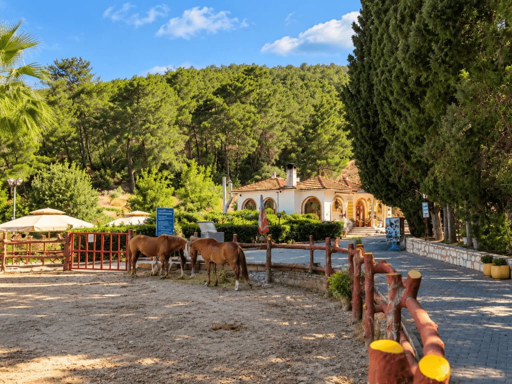Kımız At Çiftliği