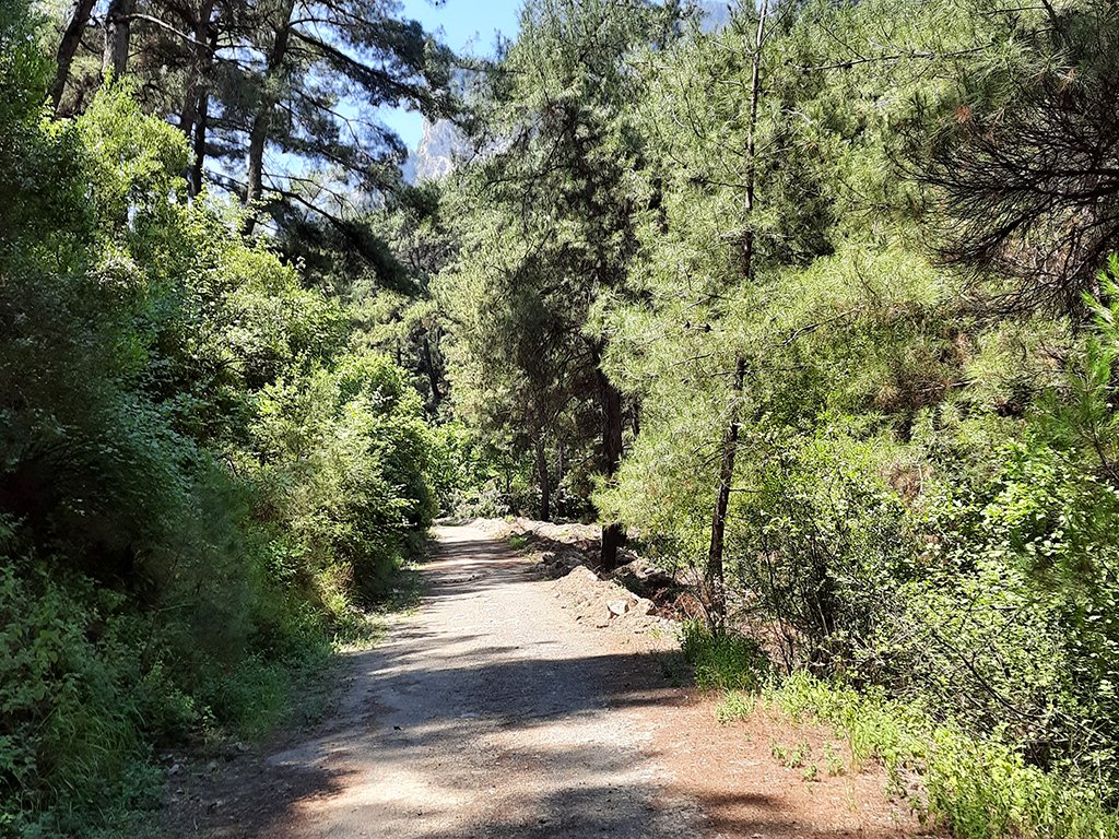 Nazarköy Kanyon Rotası Yürüyüş Yolu